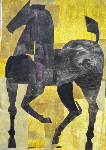 50cm x 70cm b
