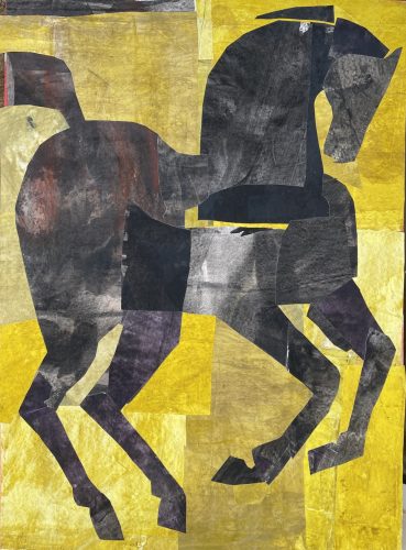 50cm x 70cm c